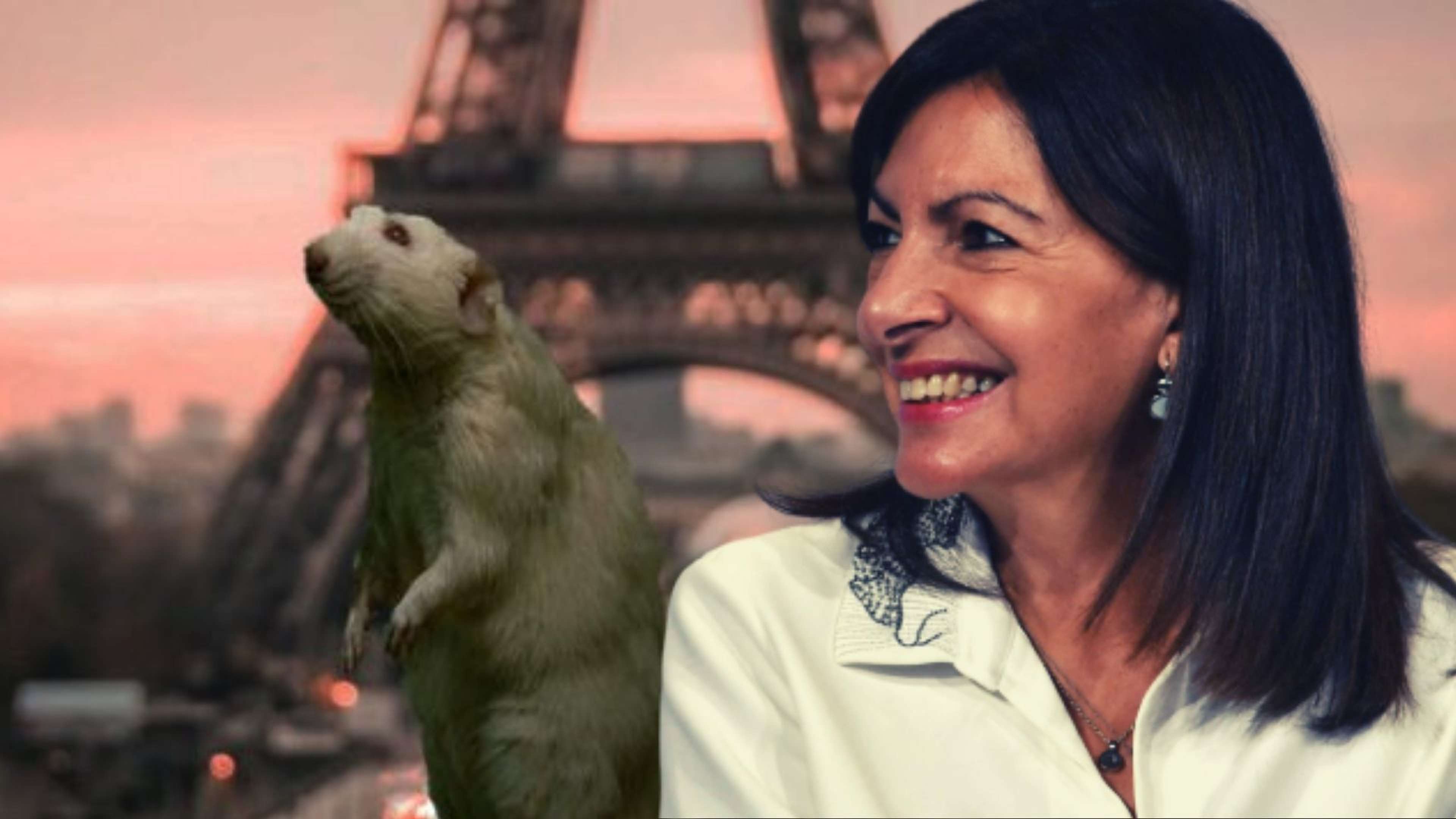 /2021/10/hidalgo parti socialiste rats paris presidentielle election