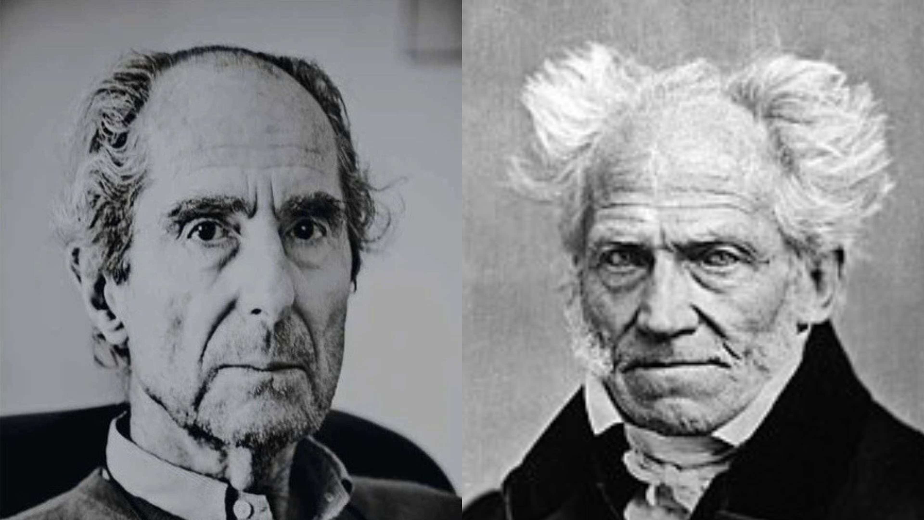 roth-schopenhauer