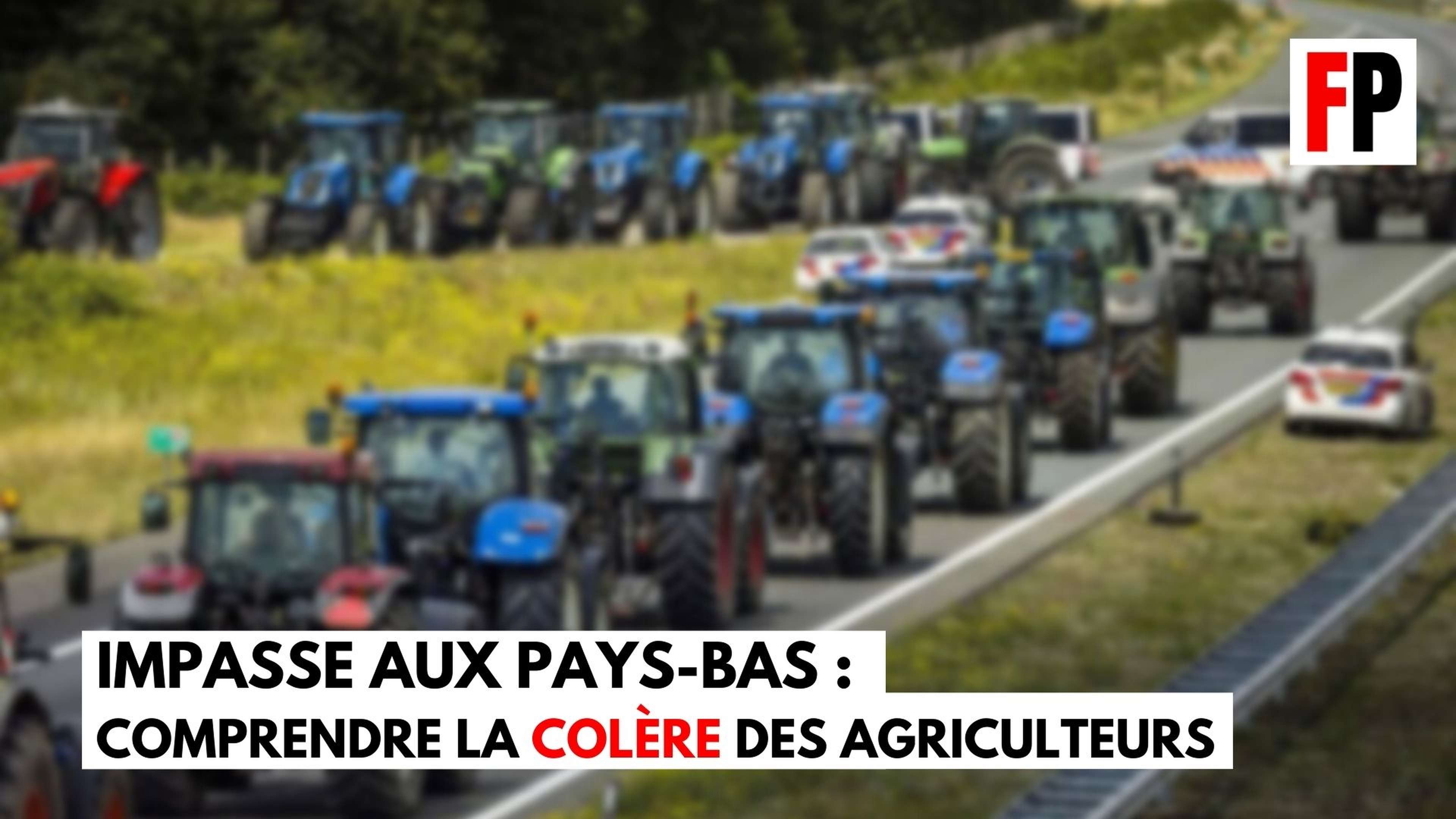 /2022/07/philippe-murer-colere-agriculteurs-pays-bas-ecologie