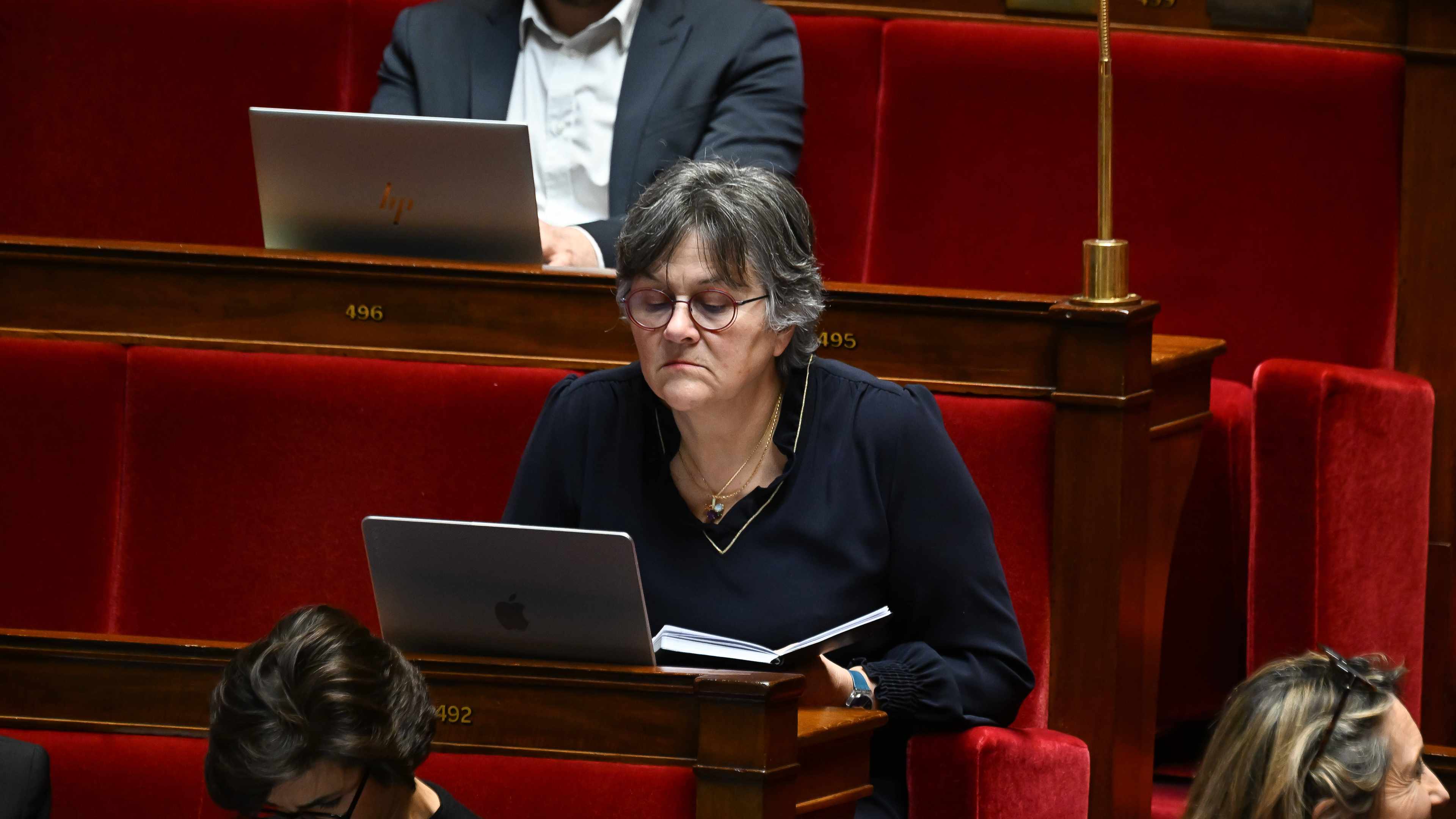 dominique-voynet
