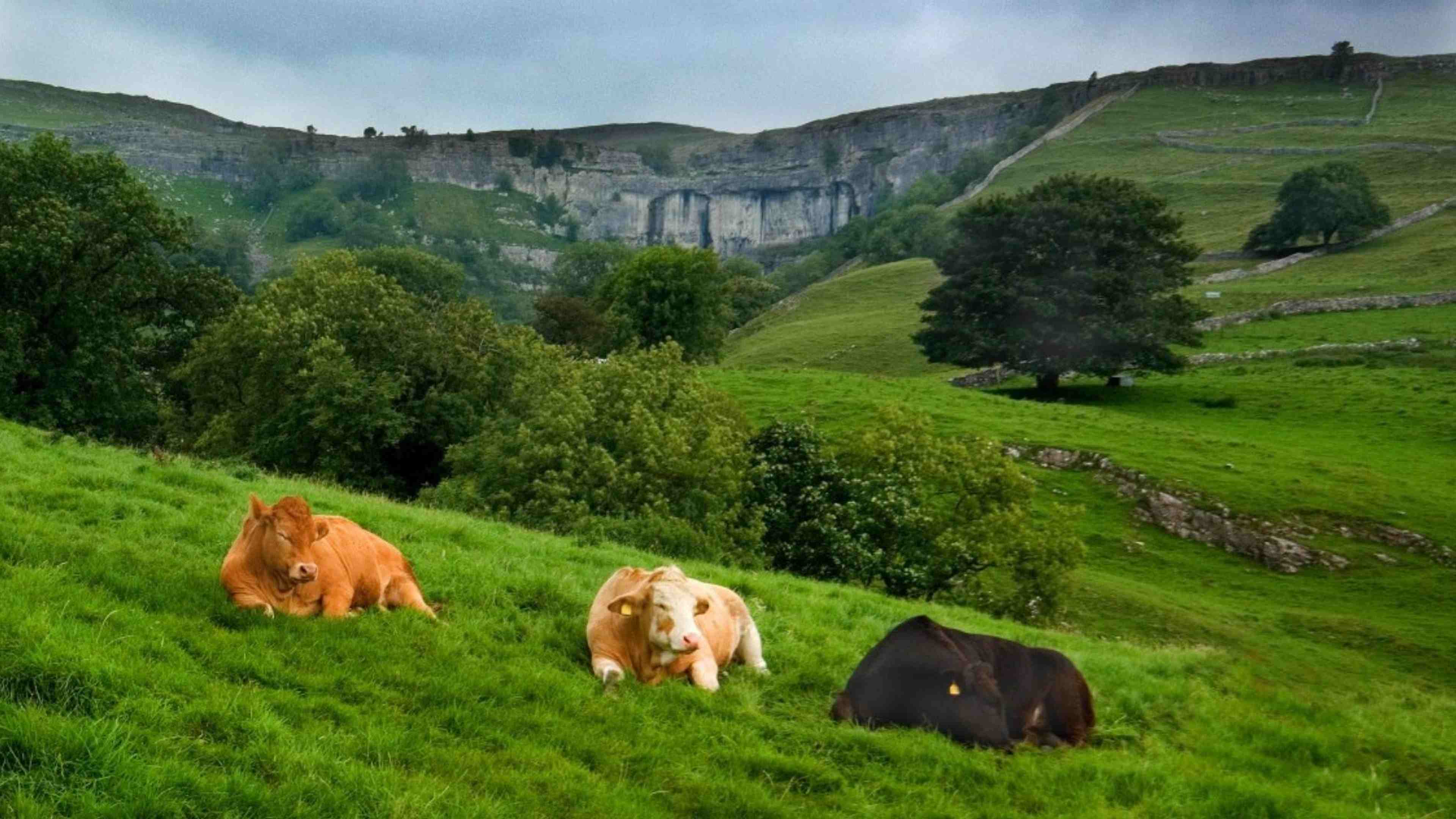 /2021/01/Passeurs de terres, coopérative agricole, Pas-de-la-Loire
