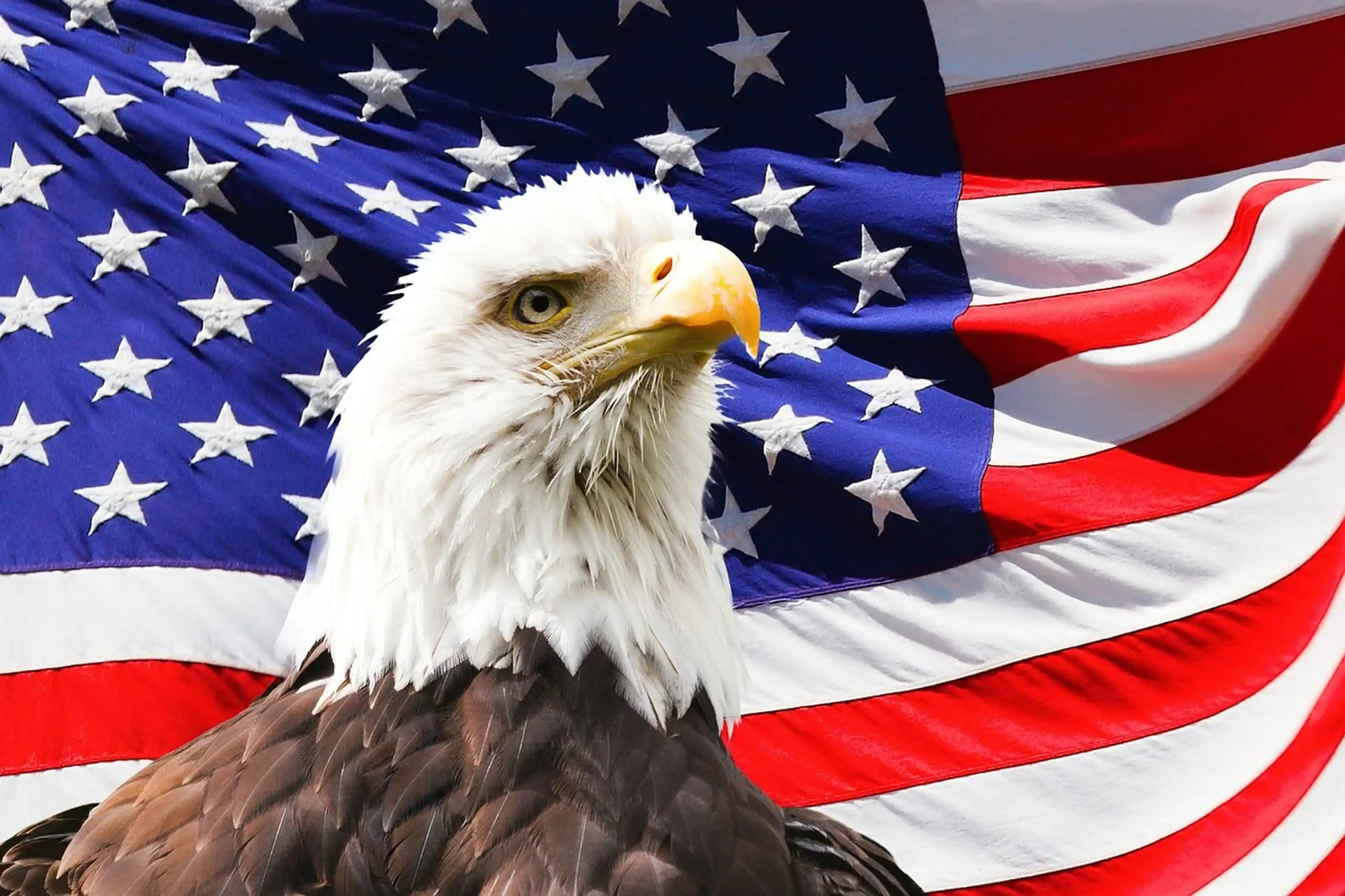 /2020/12/Ingérence, Etats-Unis, islamisme