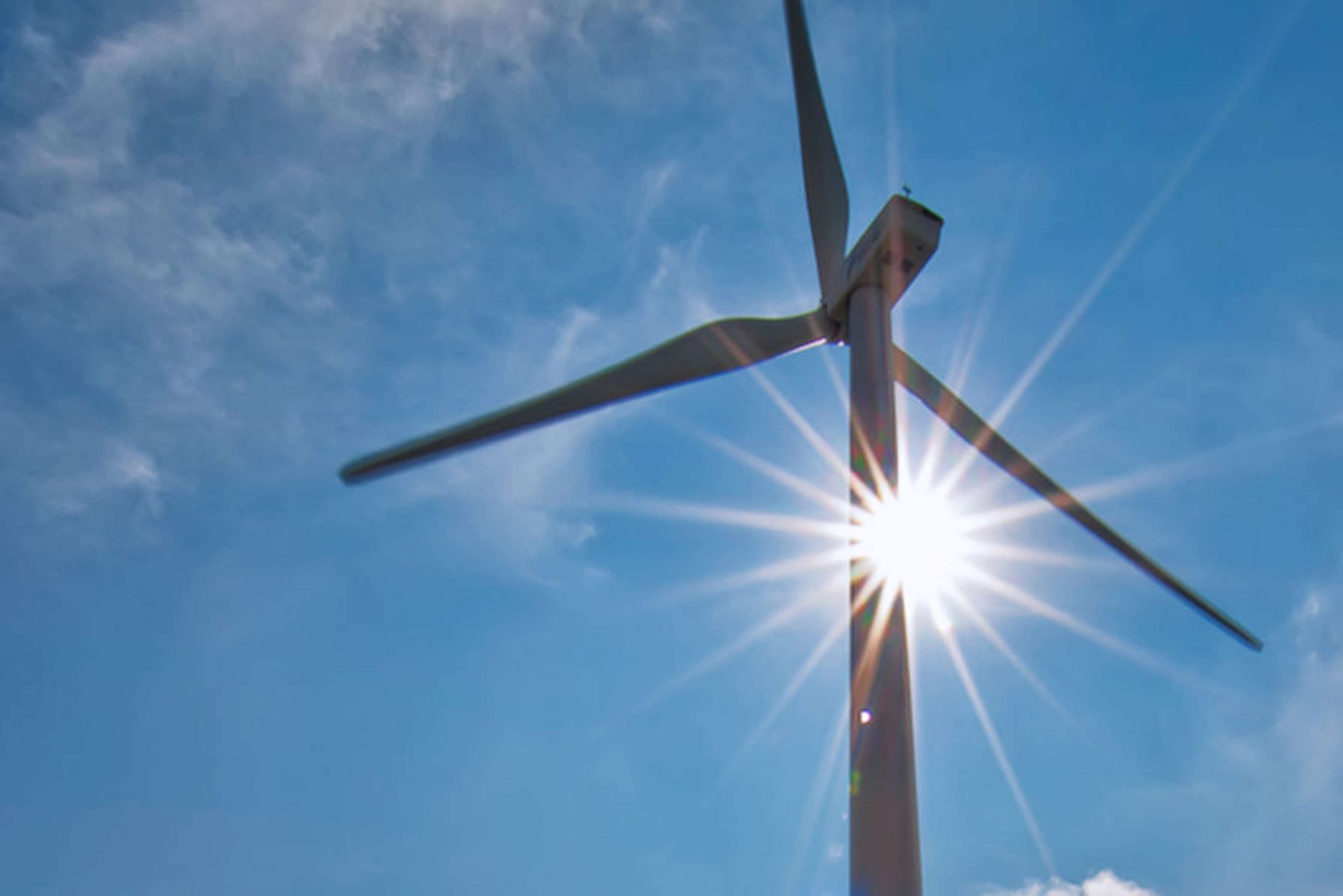 /2020/11/Climat conseil d'Etat