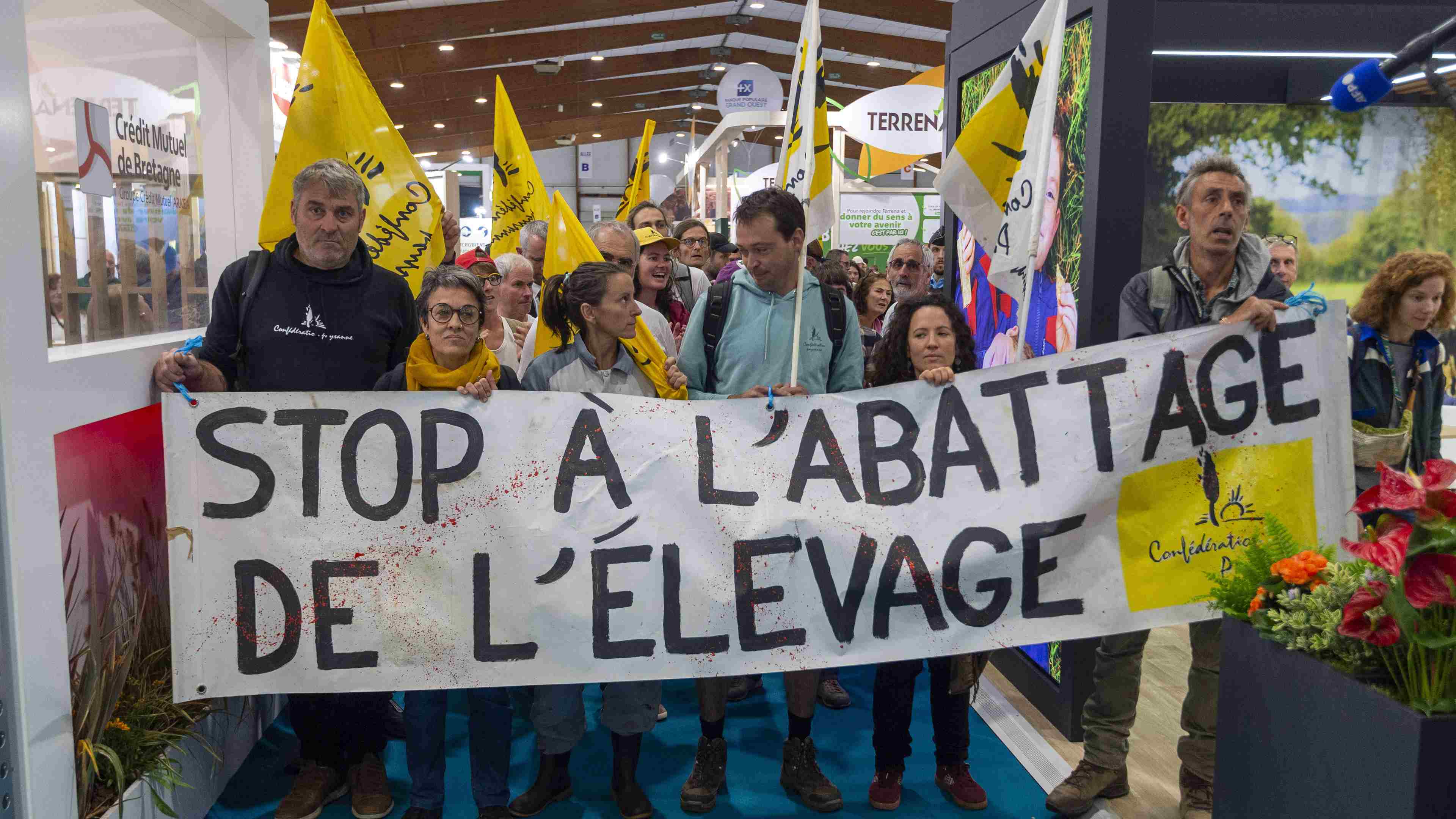 abattage-dermatose-nodulaire-elevage-technocratie