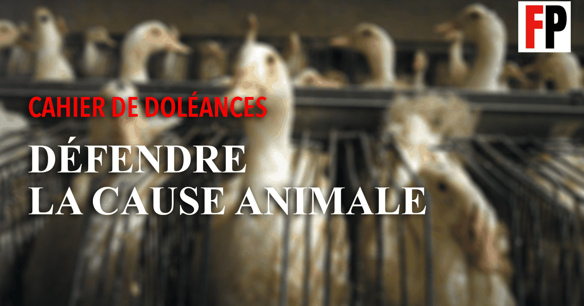 Nouvelle doléance : défendre la cause animale
