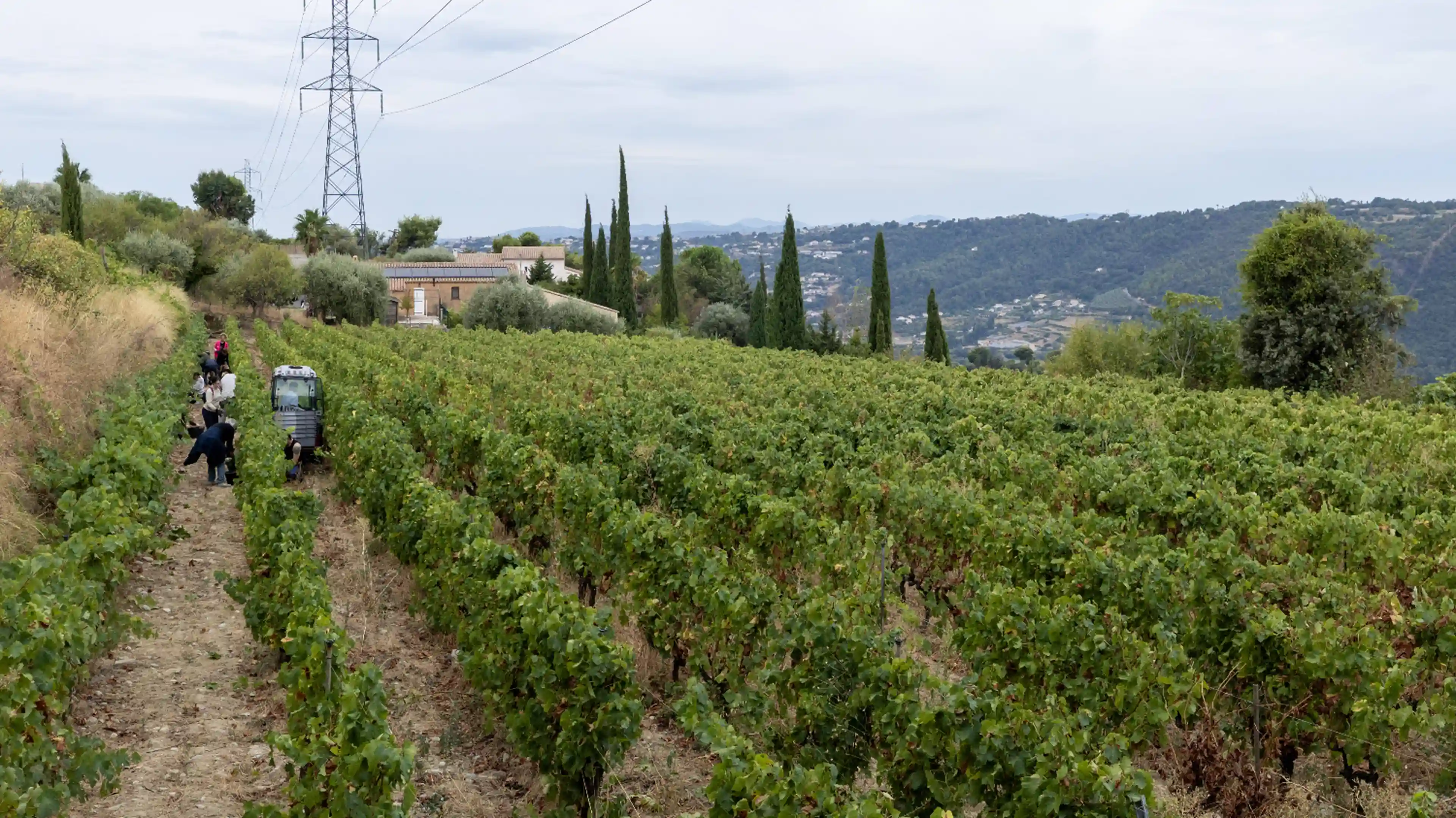 agriculture-deficit-solde-balance-commerciale-rouge