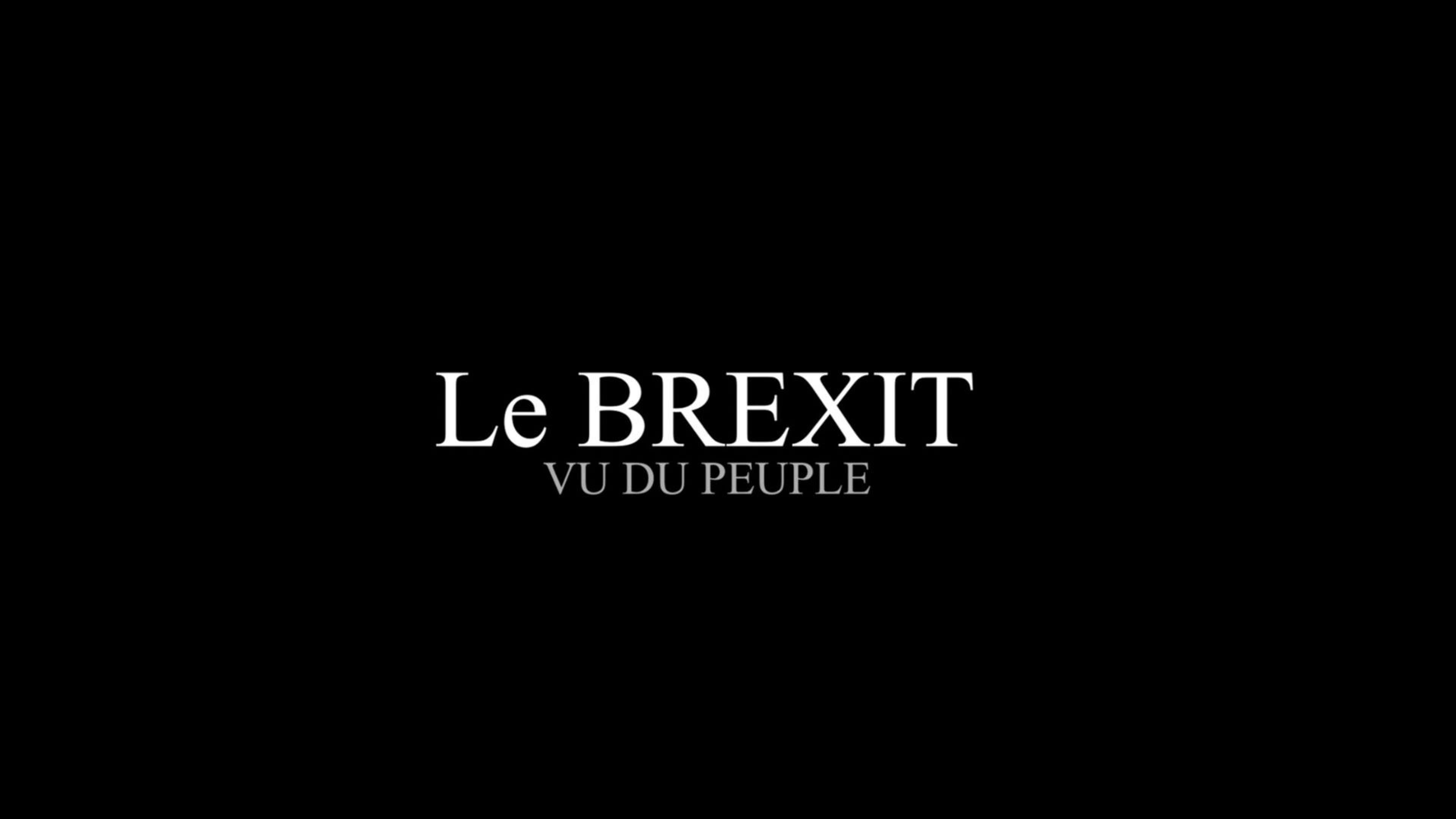 "Brexit, vu du peuple" : la bande-annonce du documentaire