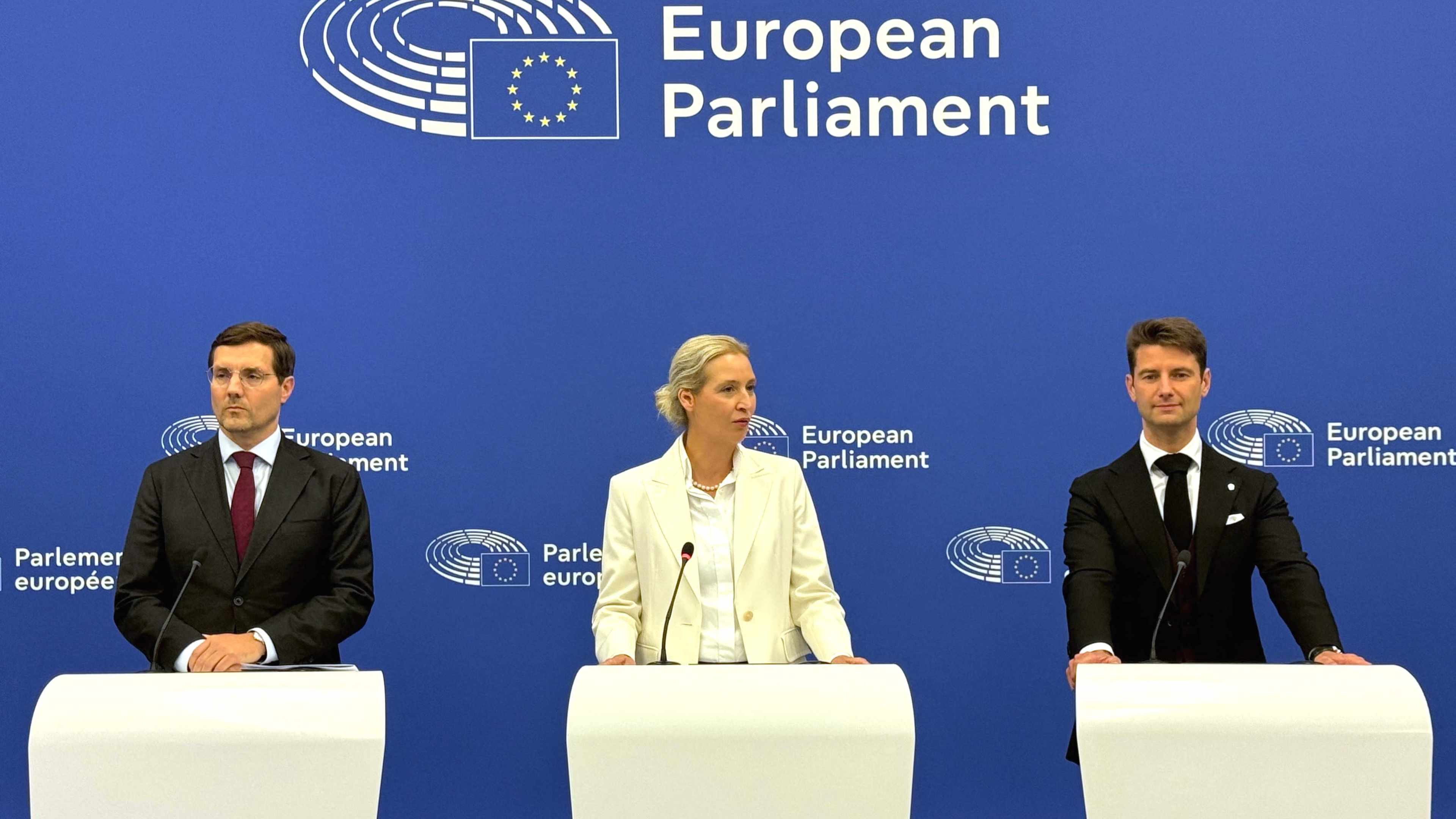 afd-ue-weidel-dexit