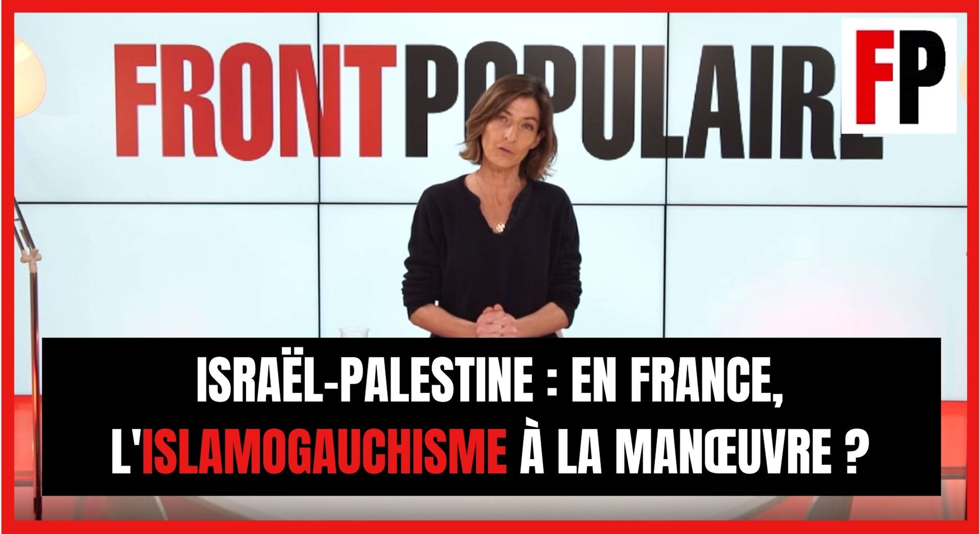 Israël-Palestine : en France, l'islamogauchisme à la manœuvre ?