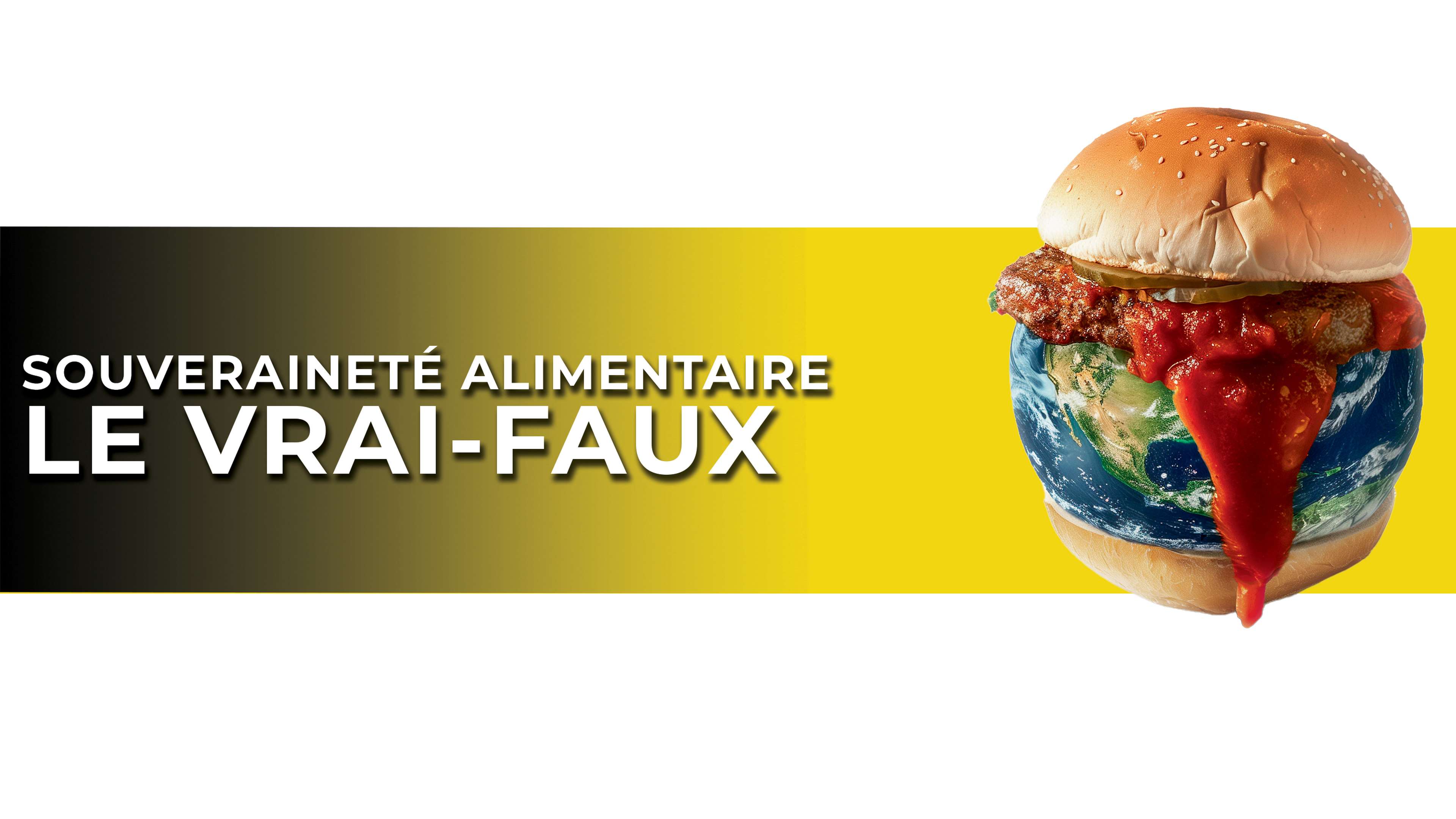 vrai-faux-17