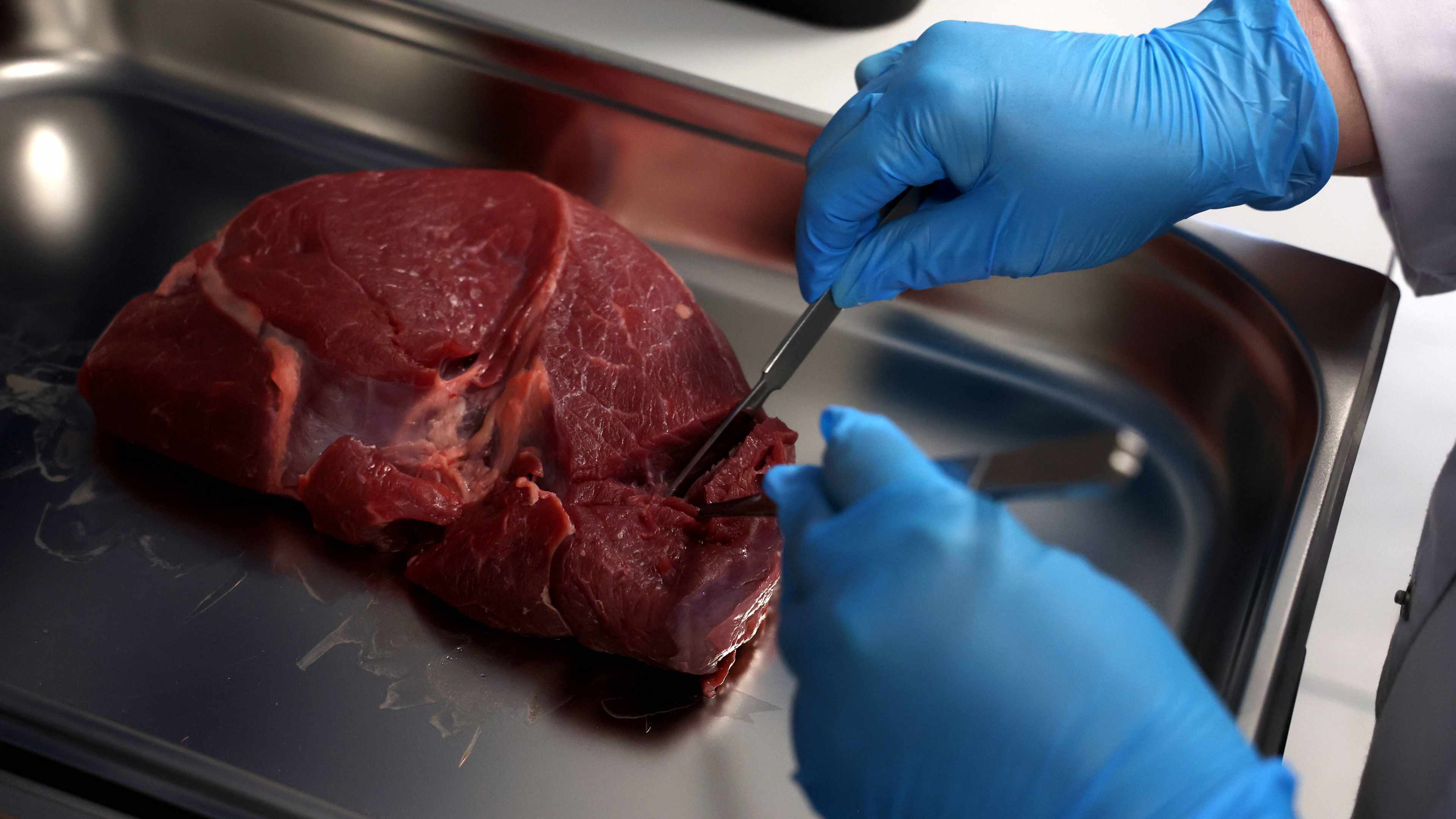 viande-laboratoire-hongrie-union-europeenne
