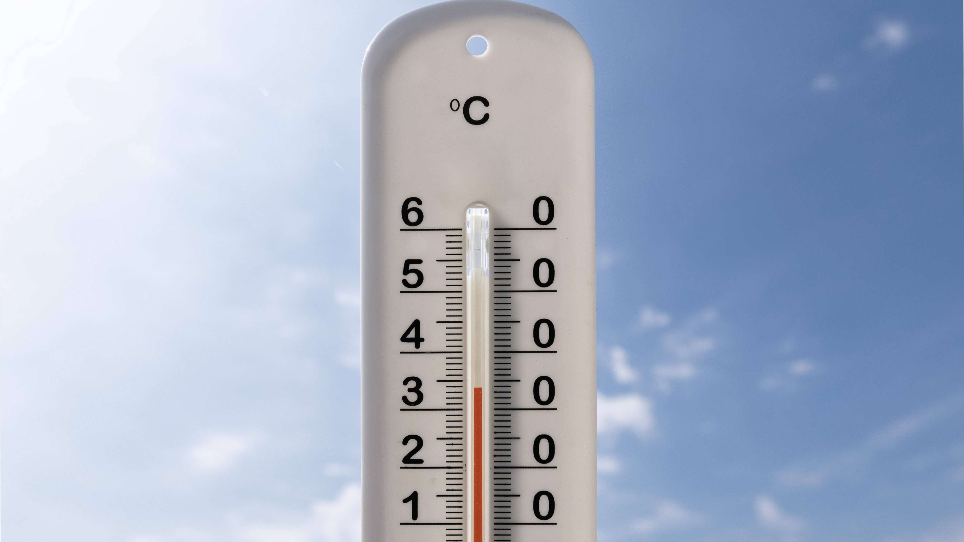 canicule-sante-publique-france