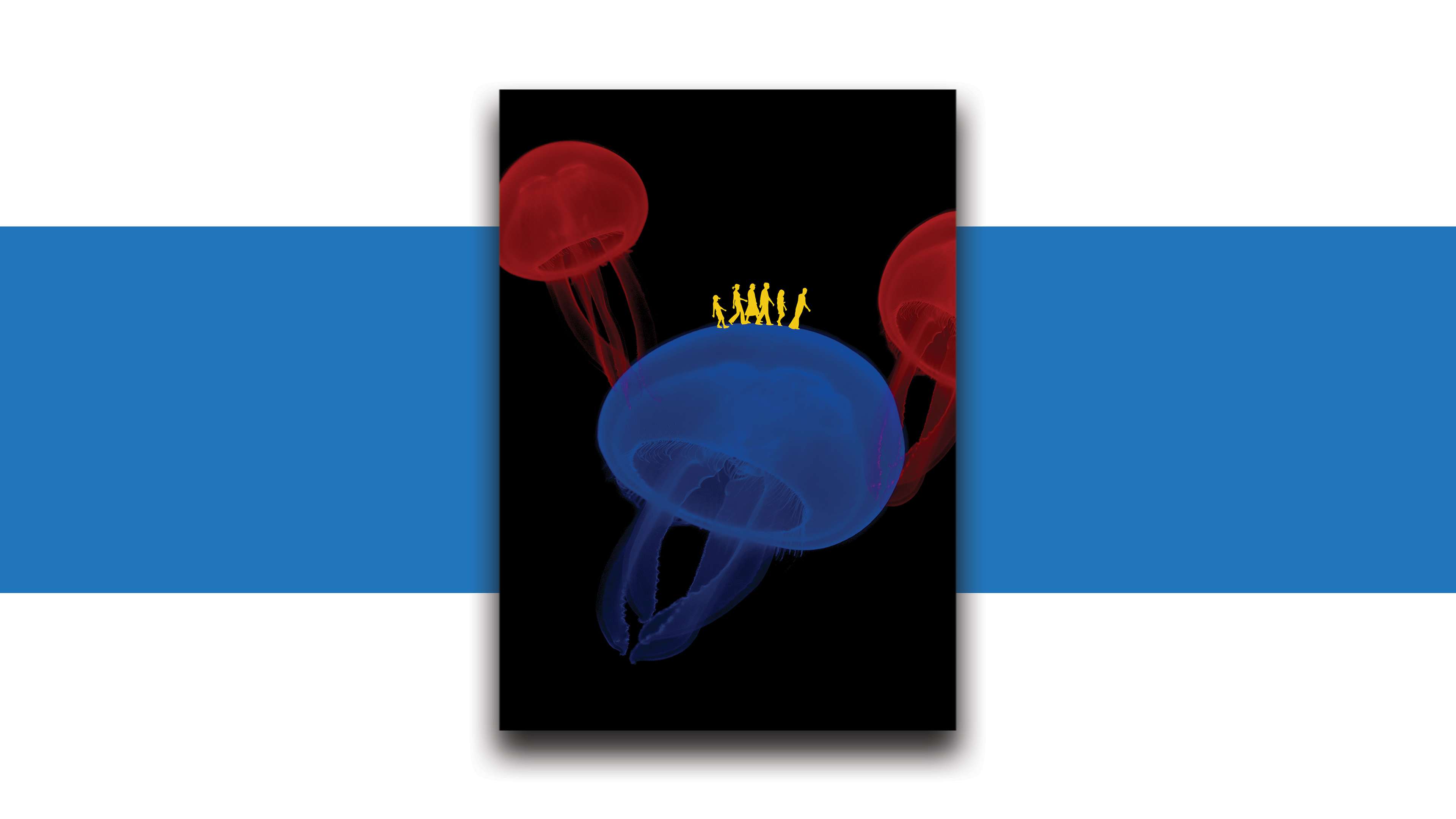 /2021/02/13-meduses