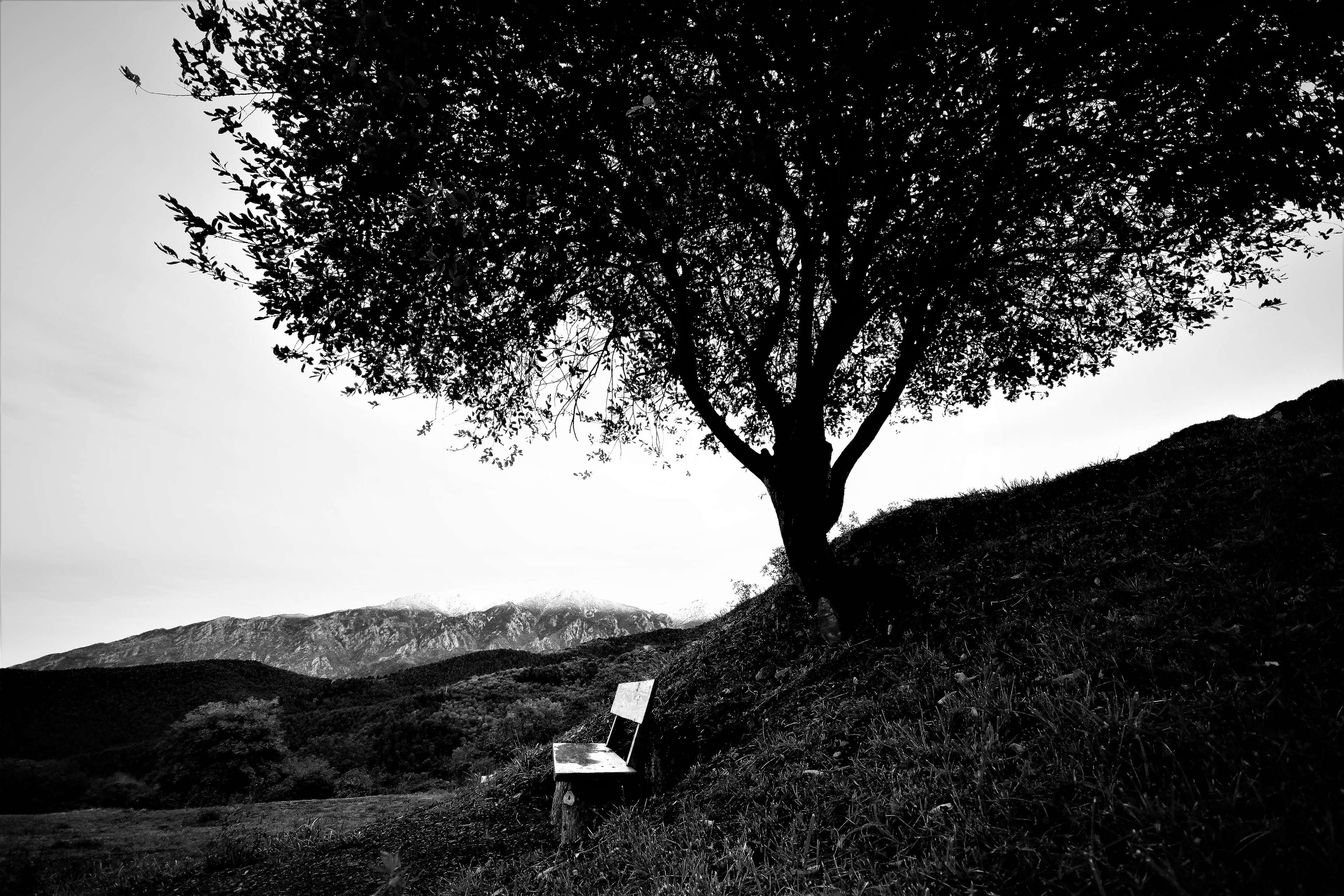 /2020/07/Photo Abandon monde rural (1)