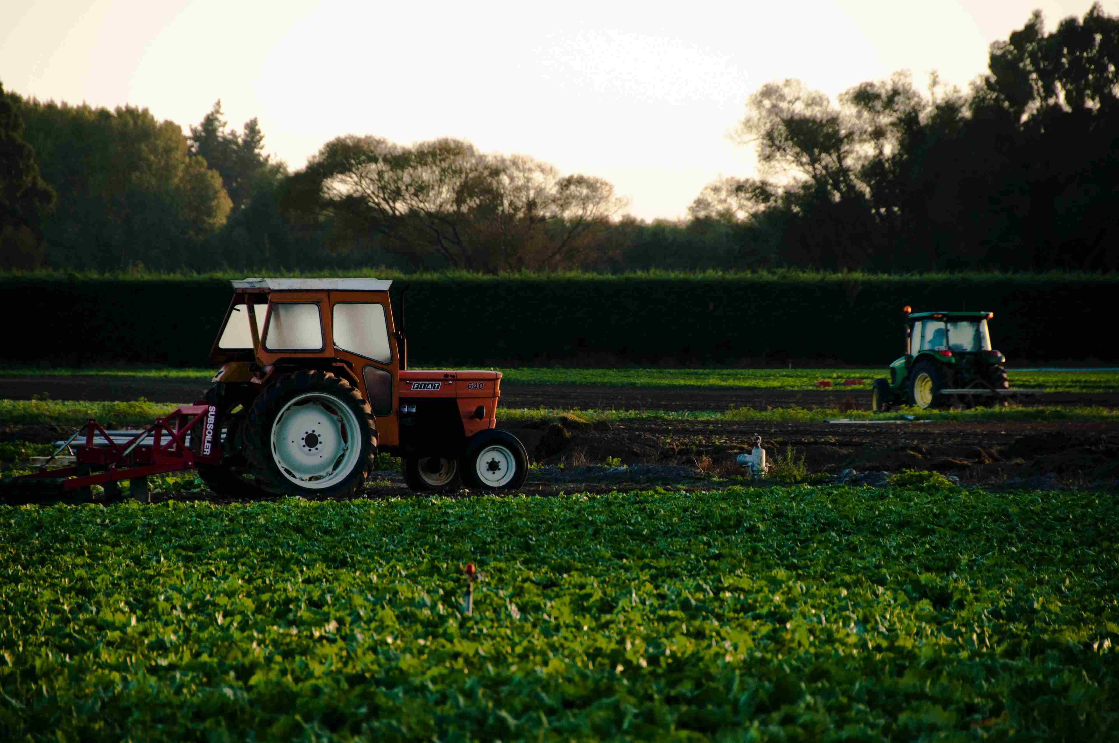 /2021/06/agroecologie-souverainete-alimentaire-ecologie-horizon-2050-Europe-agriculture-engrais-CNRS-chercheurs_1