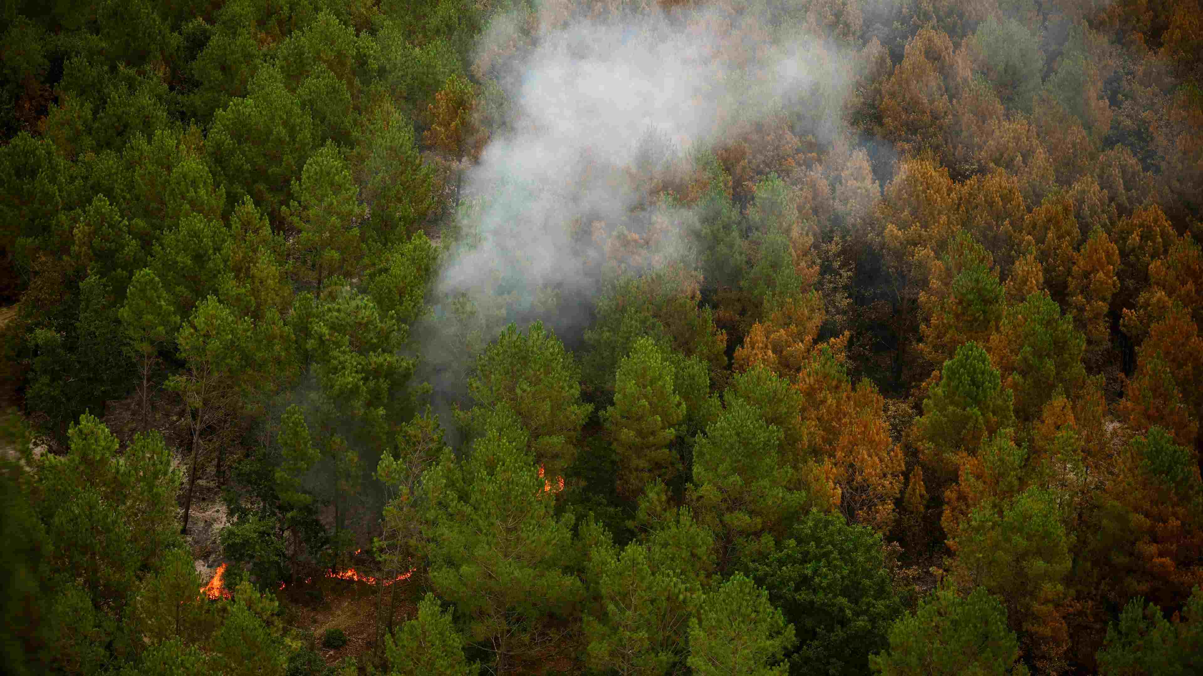 incendies-france-guerre