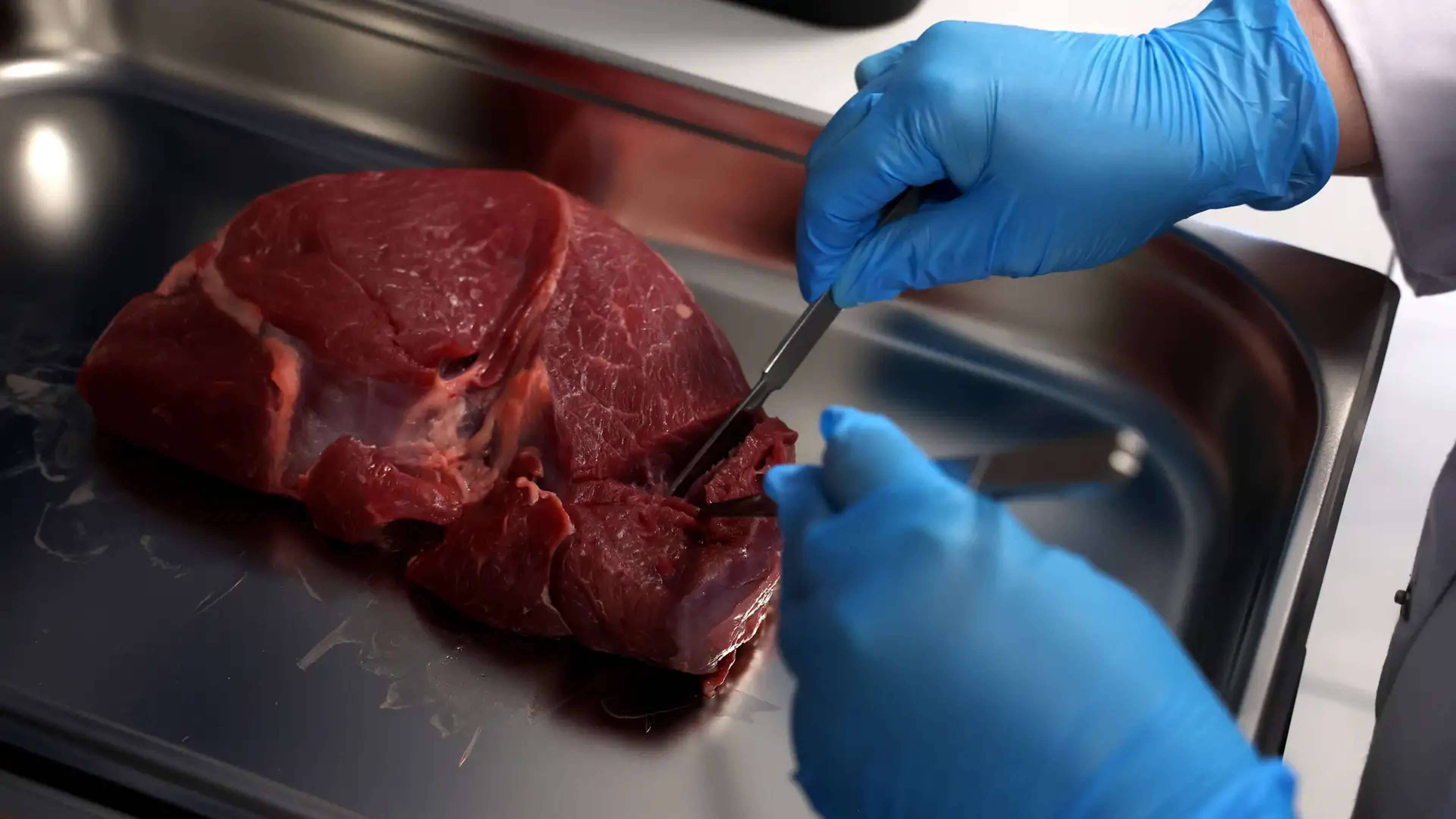 viande-de-synthese-hongrie-commission-europeenne