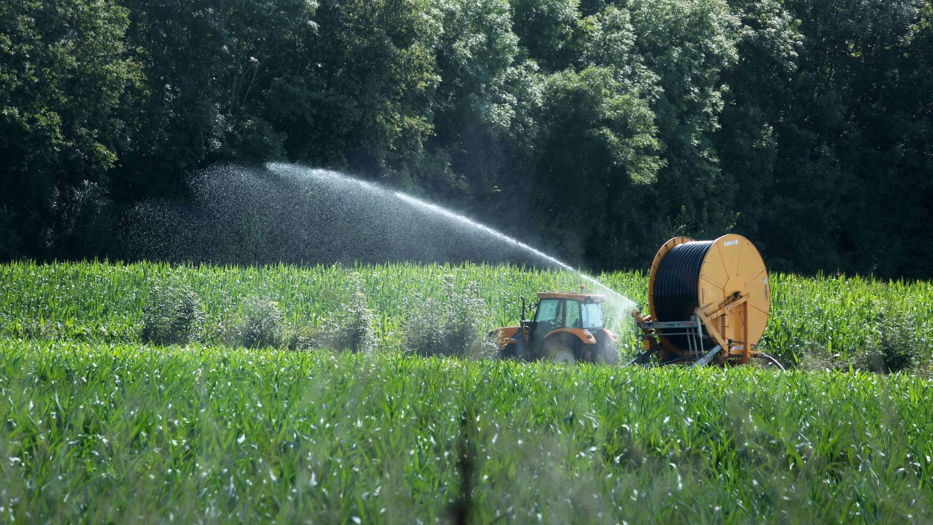 agriculture-PAC-cour-des-comptes-europeenne