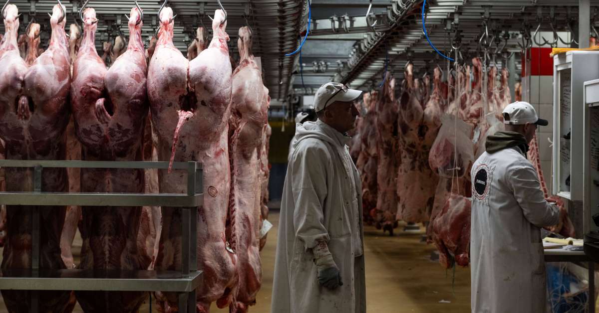国はフランス人に肉の摂取を減らすよう奨励したいと考えている
