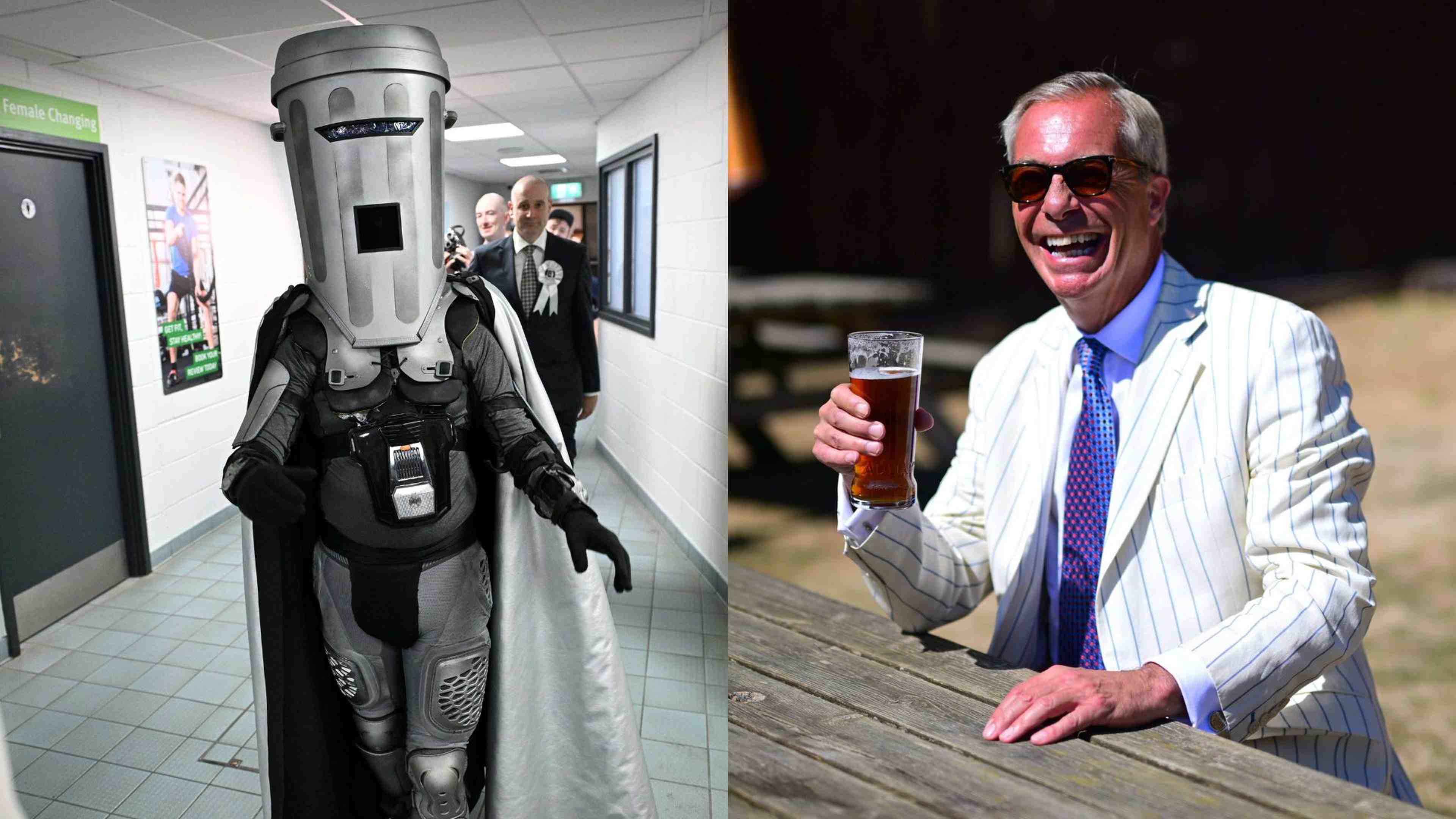 binface-farage