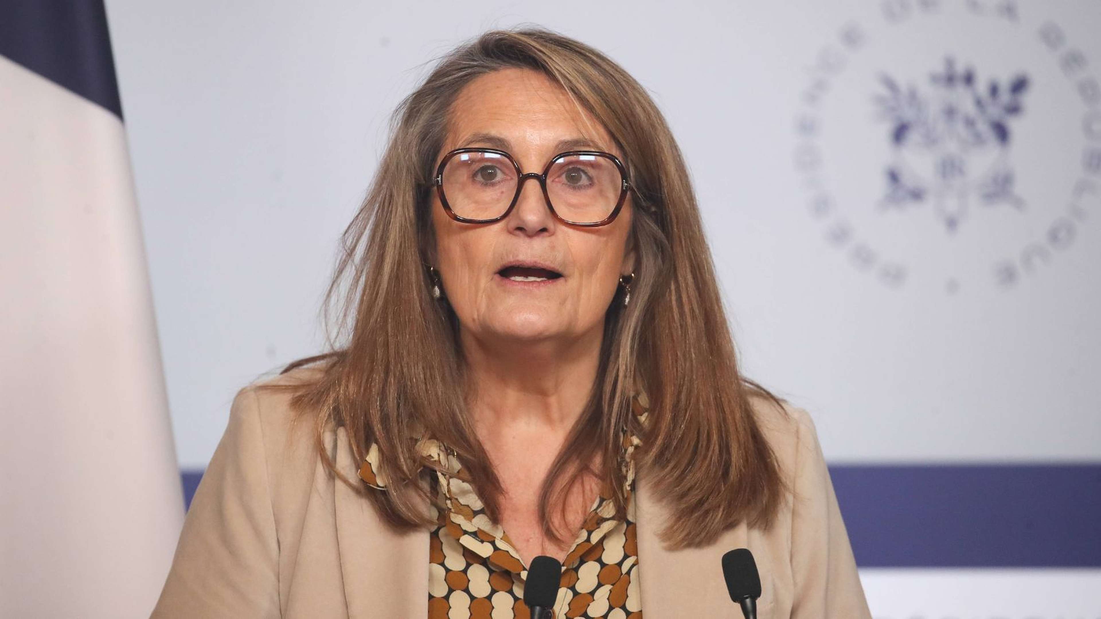 referendum-frexit-sophie-primas-bayrou-gilets-jaunes-union-europeenne